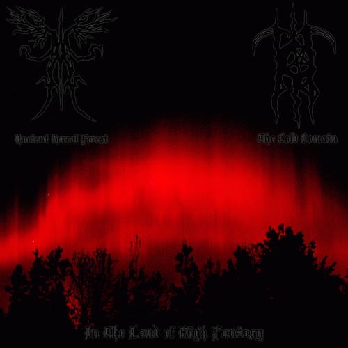 Ancient Boreal Forest : In the Land of High Fantasy